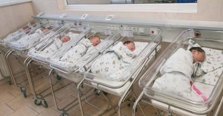 Жаңақорғанда Құрылтай сайлауы күні 3 сәби дүниеге келді