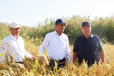 Аудан әкімі «Жарбол» шаруа қожалығының егістік алқабына барды