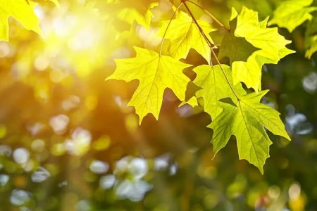 1 қыркүйектен бастап елімізде не өзгереді?