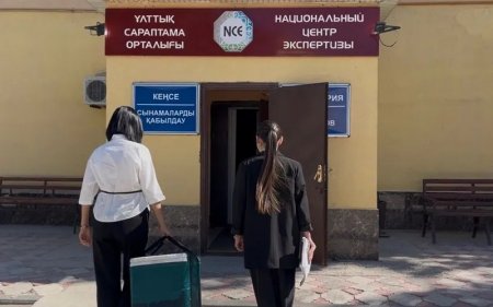 Қызылордада бала денсаулығына қауіпті ойыншықтар анықталды