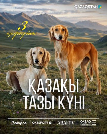 Бүгін – Қазақы тазы күні