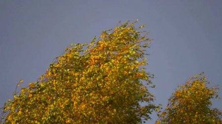 14 қыркүйекте Қазақстанның солтүстігінде жаңбыр жауып, найзағай ойнайды