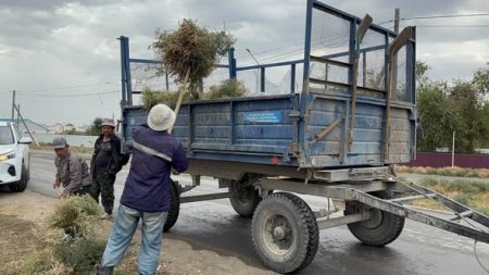 «Таза Қазақстан» экологиялық акциясы аясында сенбілік жұмыстары жүргізілді