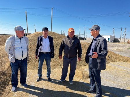 Егістікті әртараптандыру жүргізілуде