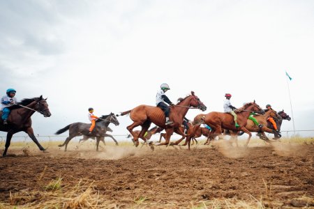 Ауыл спортшыларының дүбірлі додасы