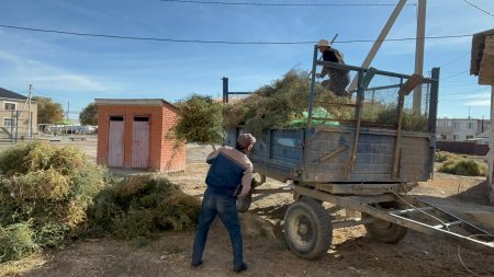 «Таза Қазақстан» Экологиялық акциясы аясында сенбілік жұмыстары жүргізілді