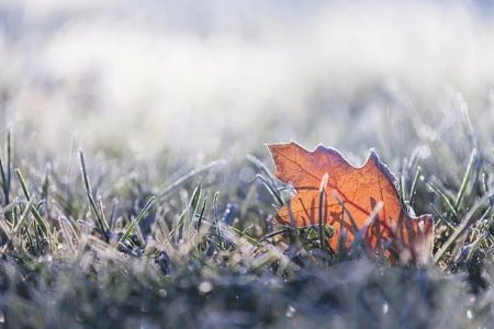 17-19 қазан аралығында ауа райы қандай болады?