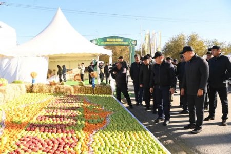 «Алтын күз – 2026»: 1200 тоннадан астам ауыл шаруашылығы өнімдері ұсынылды