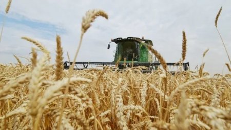 Президент: Шаруаларға жұмысын ұзақ мерзімге жоспарлауға мүмкіндік беретін қаржыландыру жүйесі керек